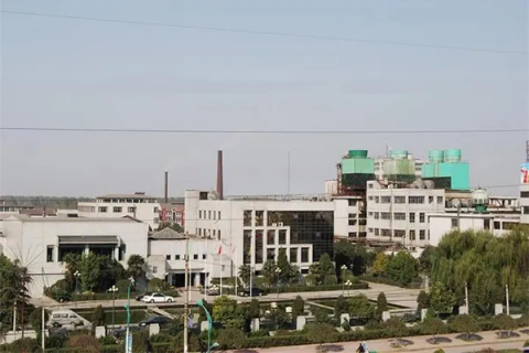 Shijiazhuang Standard IMP&EXP Factory Production Line